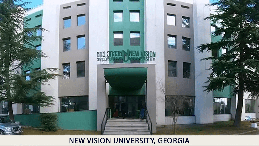 NEW VISION UNIVERSITY, GEORGIA